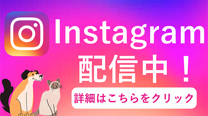 Instagram配信中！